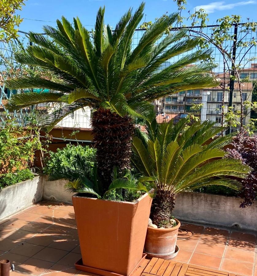 Апартаменты Il Giardino Sospeso Di Anna Флоренция Экстерьер фото